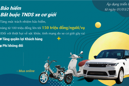 Bảo hiểm Bắt buộc Trách nhiệm Dân sự (TNDS) Xe Ô TÔ