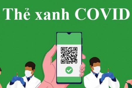 Thẻ xanh covid là gì? Cách tạo app xanh app đỏ app vàng covid-19 ntn?